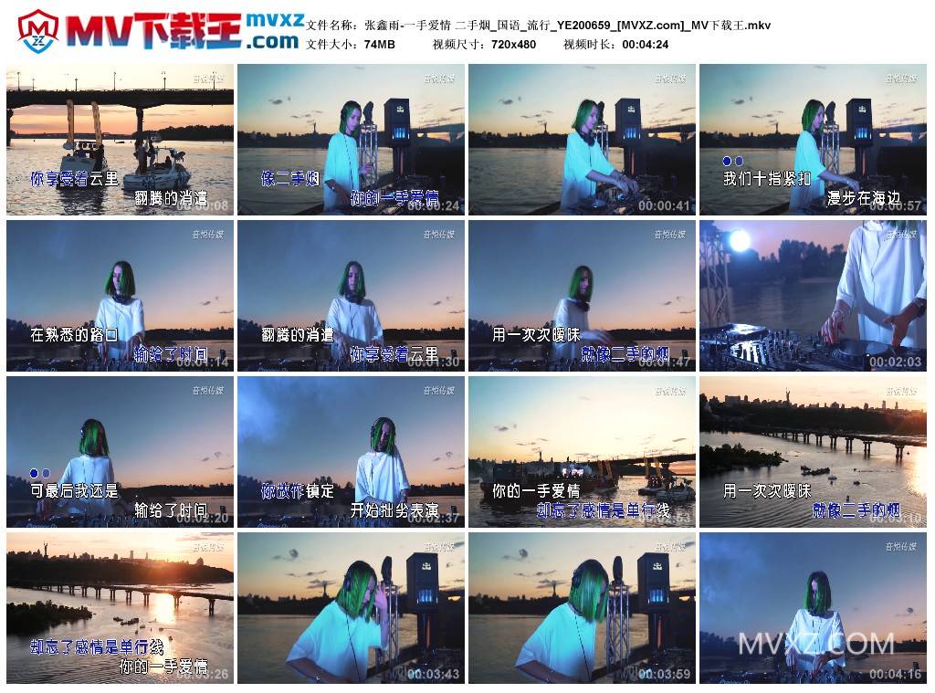 张鑫雨-一手爱情 二手烟_国语_流行_YE200659